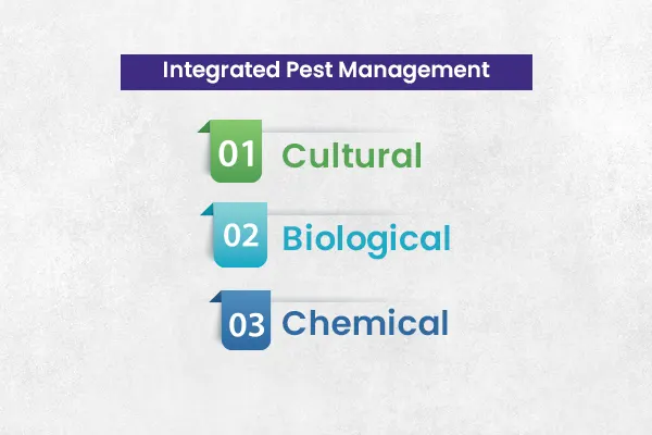 pest management service providers in India