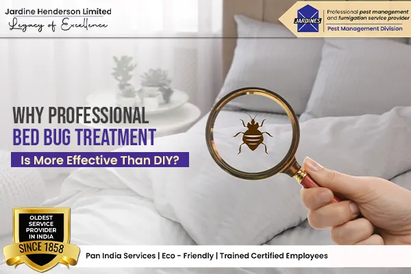 Why Professional Bed Bug Treatment Is More Effective Than DIY?