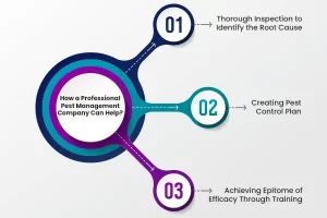 commercial pest management 
