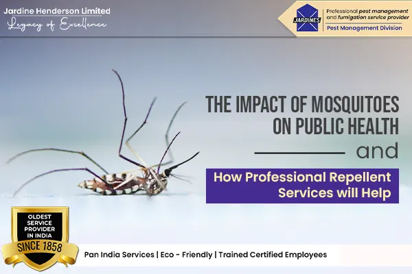 The Impact of Mosquitoes on Public Health and How Professional Repellent Services will Help